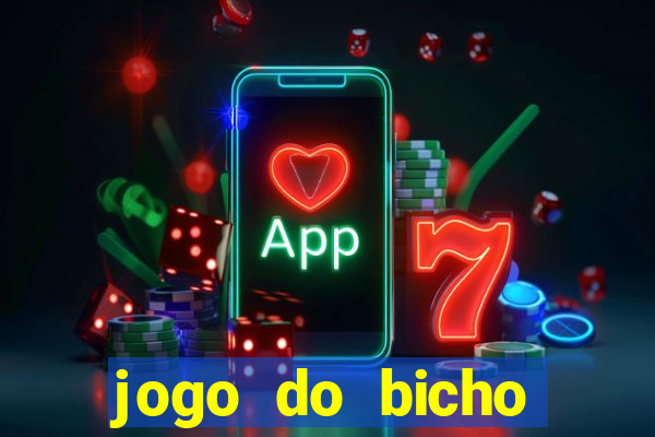 jogo do bicho crash bingo